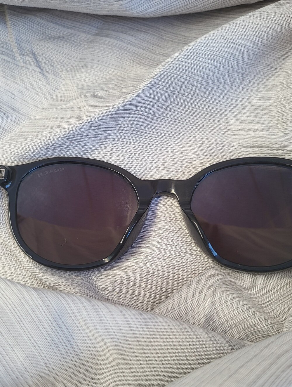 Coach Glossy Black Round Frame Sunglasses with Smoke Lenses - Picture 4 of 8